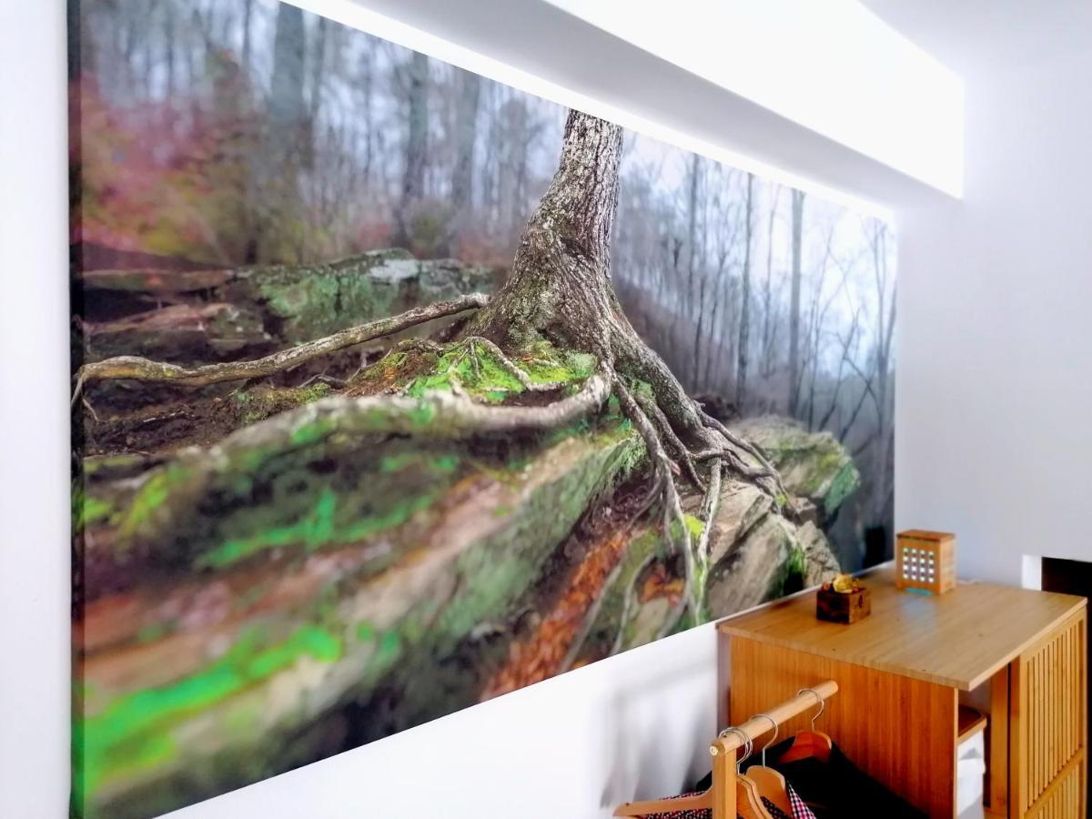 Wooden Touch Studio Braşov Esterno foto